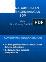 Presentation Materi Kuliah Ketenagakerjaan Dan SDM 2012
