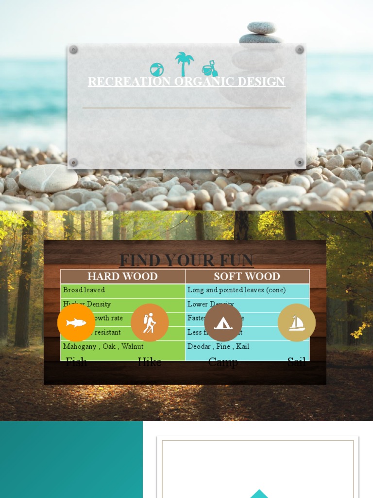 Timber Presentation Pdf