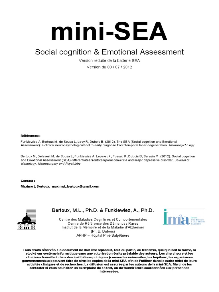 Mini-SEA : Évaluation émotionnelle concise | PDF | Émotions | Maladie d ...