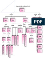 Esquema Organizador 2.3