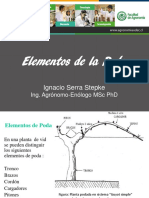 Elementos de La Poda Poda Invernal IS