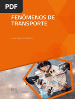 Fenômenos de Transporte: Cezar Augusto Schadeck