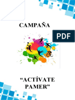 Campaña Iv