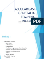 Vascularisasi Genetalia Feminina Interna