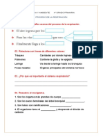 Completa El Gráfico Acerca Del Proceso de La Respiración