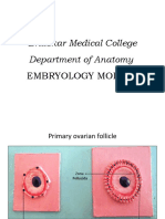 Embryology Revision Final