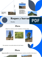 Fauna Flora Roques y Barrancos
