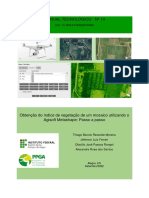 Manual Tecnológico #14 - Obtenção Do Índice de Vegetação de Um Mosaico Utilizando o Agisoft Metashape