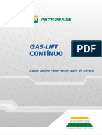 Gas-lift contínuo técnicas e equipamentos