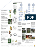 Synopsis - Landscape Format - Indd-2 - 01 - 01