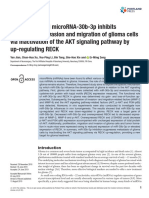 Jian 等。 - 2019 - Down-regulated MicroRNA-30b-3p Inhibits Proliferat