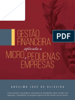 Gestao Financeira Aplicada Nas Micro Pequenas Empresa