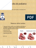 Stenoza Aortală Și Coarctația Aortei