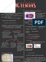 Características das bactérias do reino monera