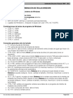 TEMA 13 Combinación de Teclas Windows