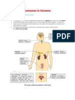 Hormones in Humans Notes