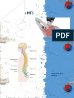 5 Dolor Dorsal-Lumbar