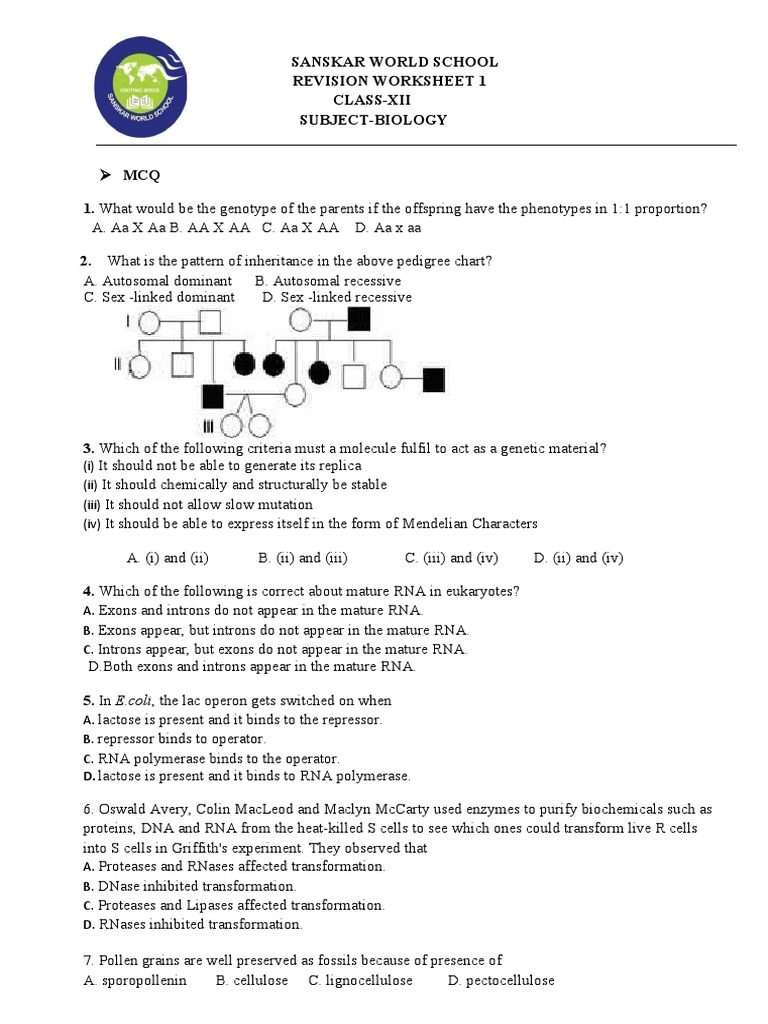 Class Xii Biology Worksheet 2 PDF Operon Nucleic Acids
