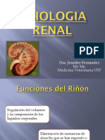 Clase Renal