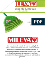 Apresentação MILEVA 2020