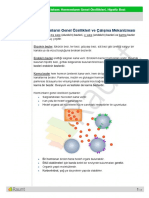 Endokrin - Sistem - Hormonlarin - Genel - Ozellikleri - Hipofiz - Bezi - Ozet - Raunt