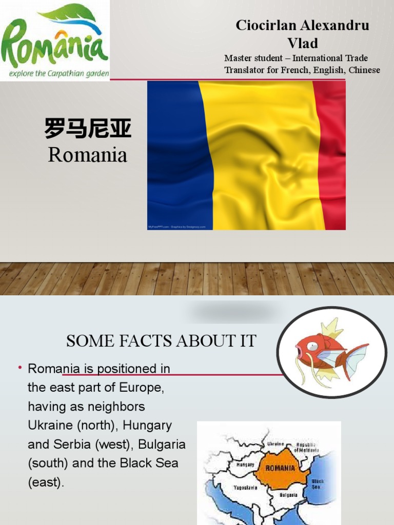 DaHai PREZENTARE Romania PDF Cost Of Living Romania