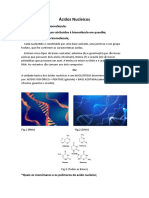 Guia Trabalho Biomoléculas