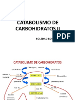 Catabolismo-Carbohidratos Ii