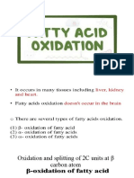 Oxidation of Fatty Acids