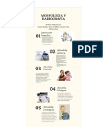 Morfologia PDF