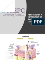 Penetración Actuación de Los Cosméticos