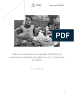 Informe_final_análisis_de_impactos_COVID-19-FAO