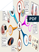 Mapa Mental Cardiopatia