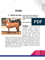 Crioulo: Raça de cavalo brasileira descendente de raças espanholas