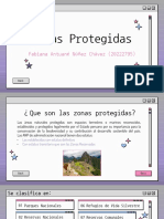 Zonas Protegidas: Fabiana Antuané Núñez Chávez (20222795)