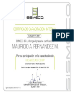Certificado capacitación interna uso EPP Mauricio Fernández
