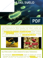 2 Bacterias Del Suelo