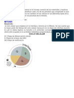 Informe de Laboratorio Biologia Mitosis y Meiosis