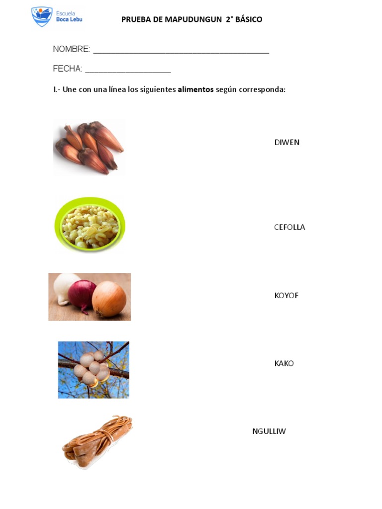Prueba de Mapudungun para 2° Básico | PDF