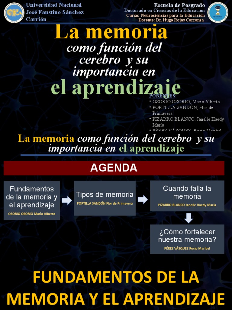 Memoria y Aprendizaje | PDF | Memoria | Neurona