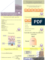 Tejido epitelial 2020.Histologia.clases