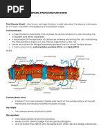 Genbio Plasma Membrane Reviewer