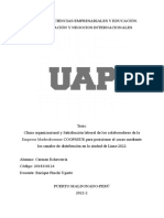 Proyecto Uap Diciembre