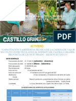 Gestión frutícola en Castillo Grande