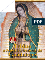 Triduo A Nuestra Senora de Guadalupe