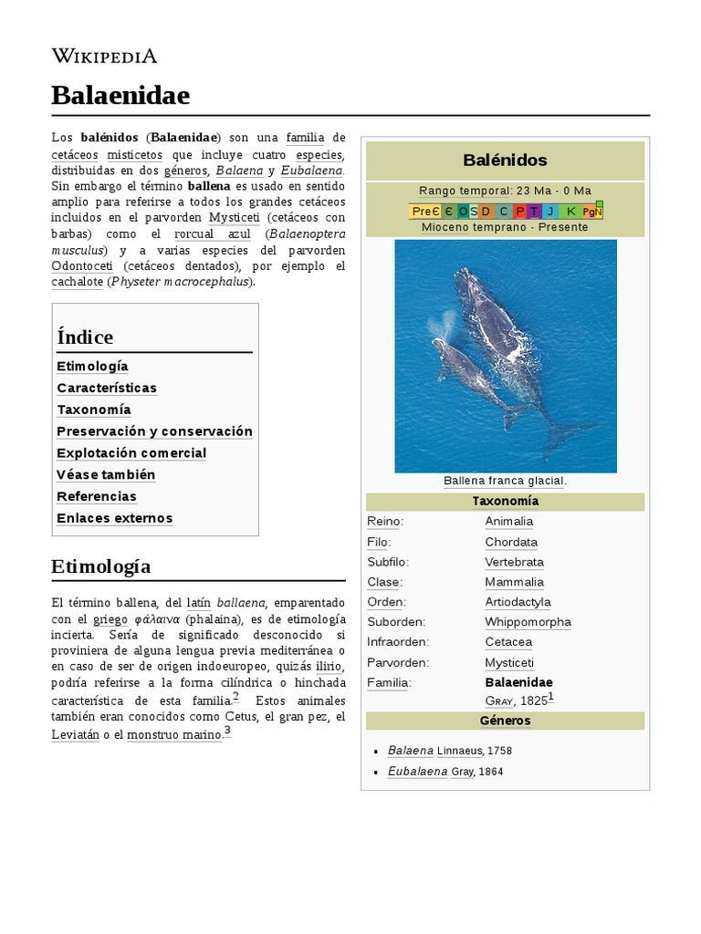 Balaenidae PDF Mamíferos marinos Biología Marina
