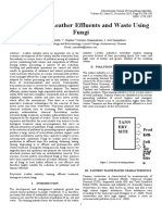 Treatment of Leather Effluents and Waste Using Fungi