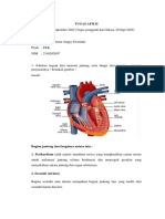 TUGAS AFM II (Jantung Dan Fungsi) Cittena Anggy