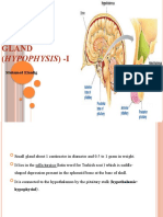 Lec-3 The Pituitary Gland-I