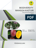 Mangga Kasturi Kalimantan 